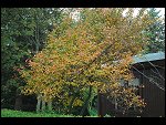 Sun 22 Oct 2006 16:19:12 D20_1188.JPG 