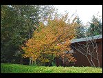 Sun 22 Oct 2006 16:19:44 D20_1190.JPG 