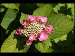 Sat 15 Jul 2006 16:26:12 D20_6915.JPG 