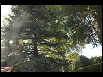 Sat 15 Jul 2006 19:15:14 D20_6921.JPG 