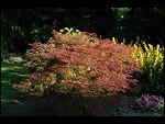 Sat 15 Jul 2006 20:16:26 D20_6923.JPG 