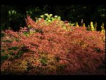 Sat 15 Jul 2006 20:21:14 D20_6932.JPG 