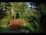 Sat 05 Aug 2006 19:45:56 D20_8001.JPG 