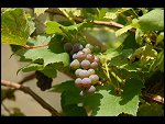 Sat 26 Aug 2006 17:12:42 D20_8301.JPG 