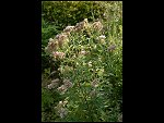 Sat 26 Aug 2006 17:13:18 D20_8304.JPG 