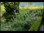 Sat 26 Aug 2006 17:13:34 D20_8305.JPG 