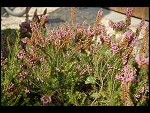 Sat 26 Aug 2006 17:14:40 D20_8309.JPG 