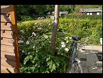 Sat 26 Aug 2006 17:14:54 D20_8310.JPG 
