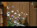 Sat 26 Aug 2006 17:15:38 D20_8314.JPG 