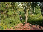 Sat 26 Aug 2006 17:19:04 D20_8325.JPG 