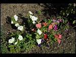 Sat 26 Aug 2006 17:19:32 D20_8328.JPG 