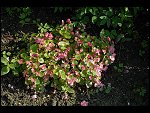 Sat 26 Aug 2006 17:20:08 D20_8332.JPG 