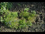 Sat 26 Aug 2006 17:20:16 D20_8333.JPG 
