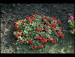 Sat 26 Aug 2006 17:20:20 D20_8334.JPG 