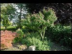 Sat 26 Aug 2006 17:20:36 D20_8336.JPG 
