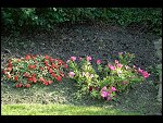 Sat 26 Aug 2006 17:20:44 D20_8337.JPG 