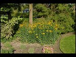 Sat 26 Aug 2006 17:20:58 D20_8338.JPG 