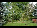 Sat 26 Aug 2006 17:25:16 D20_8354.JPG 