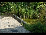 Sun 27 Aug 2006 17:04:24 D20_8499.JPG 
