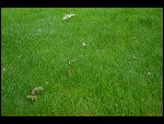 Tue 05 Sep 2006 18:40:14 D20_8945.JPG 