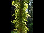 Sun 10 Sep 2006 12:53:56 D20_8949.JPG 