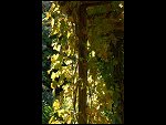 Sun 10 Sep 2006 12:54:08 D20_8950.JPG 