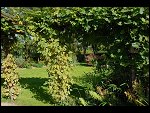 Sun 10 Sep 2006 16:45:26 D20_8956.JPG 