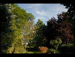 Sun 10 Sep 2006 18:07:30 D20_8969.JPG 