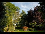 Sun 10 Sep 2006 18:07:44 D20_8970.JPG 