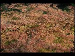 Wed 20 Sep 2006 18:12:04 D20_9211.JPG 