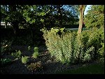 Thu 21 Sep 2006 18:21:36 D20_9237.JPG 