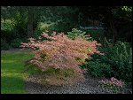 Sat 23 Sep 2006 18:10:20 D20_9266.JPG 