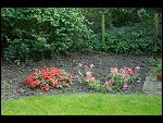 Sat 23 Sep 2006 18:10:36 D20_9267.JPG 