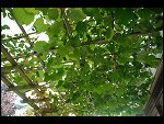 Sat 23 Sep 2006 18:36:18 D20_9286.JPG 