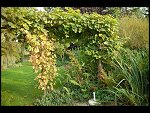 Wed 27 Sep 2006 17:47:58 D20_9672.JPG 