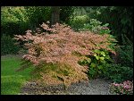 Wed 27 Sep 2006 17:48:22 D20_9674.JPG 