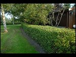 Wed 27 Sep 2006 17:50:44 D20_9680.JPG 