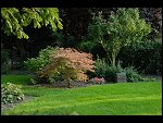 Wed 27 Sep 2006 17:51:16 D20_9681.JPG 
