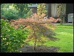 Wed 27 Sep 2006 17:52:00 D20_9683.JPG 