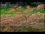 Wed 27 Sep 2006 17:52:56 D20_9686.JPG 