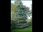 Wed 27 Sep 2006 17:53:44 D20_9689.JPG 