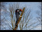 Sat 27 Jan 2007 11:45:44 D20_4561.JPG 