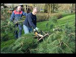 Sat 27 Jan 2007 12:25:36 D20_4633.JPG 