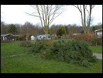 Sat 27 Jan 2007 14:05:24 D20_4664.JPG 