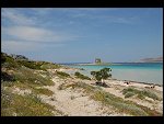 Sat 28 Apr 2007 12:51:22 D20_8352.JPG 
