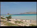 Sat 28 Apr 2007 12:51:46 D20_8355.JPG 