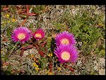 Sat 28 Apr 2007 12:52:14 D20_8357.JPG 