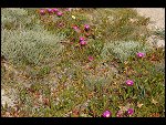 Sat 28 Apr 2007 12:52:28 D20_8358.JPG 