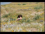 Sat 28 Apr 2007 17:49:58 D20_8473.JPG 