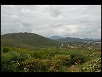 Tue 01 May 2007 11:26:14 D20_8815.JPG 